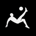 Football Winner company profile